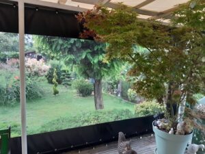 Resized_20250726_173452_42473722876966